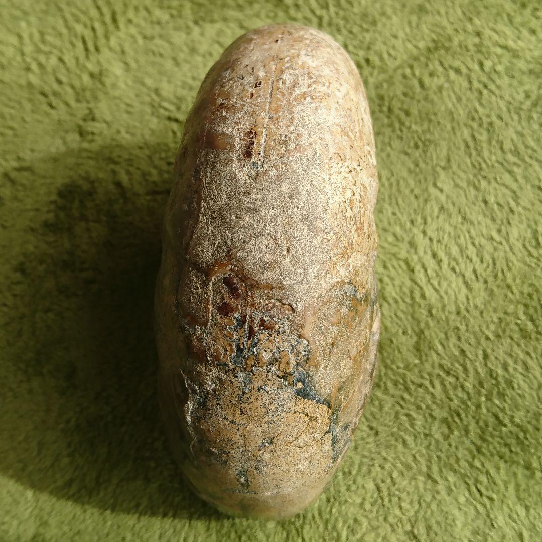 アンモナイト 化石 大きい 特大 サイズ 13.7cm 約1.2kg