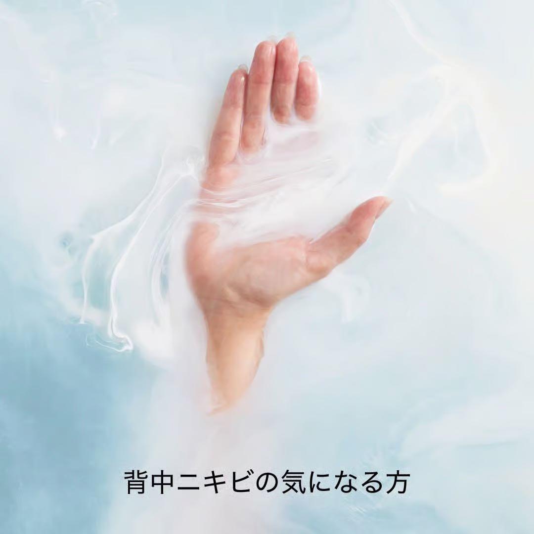 HACCI ボディーウォッシュビーハグ & トリートメントビーバスエッセンス