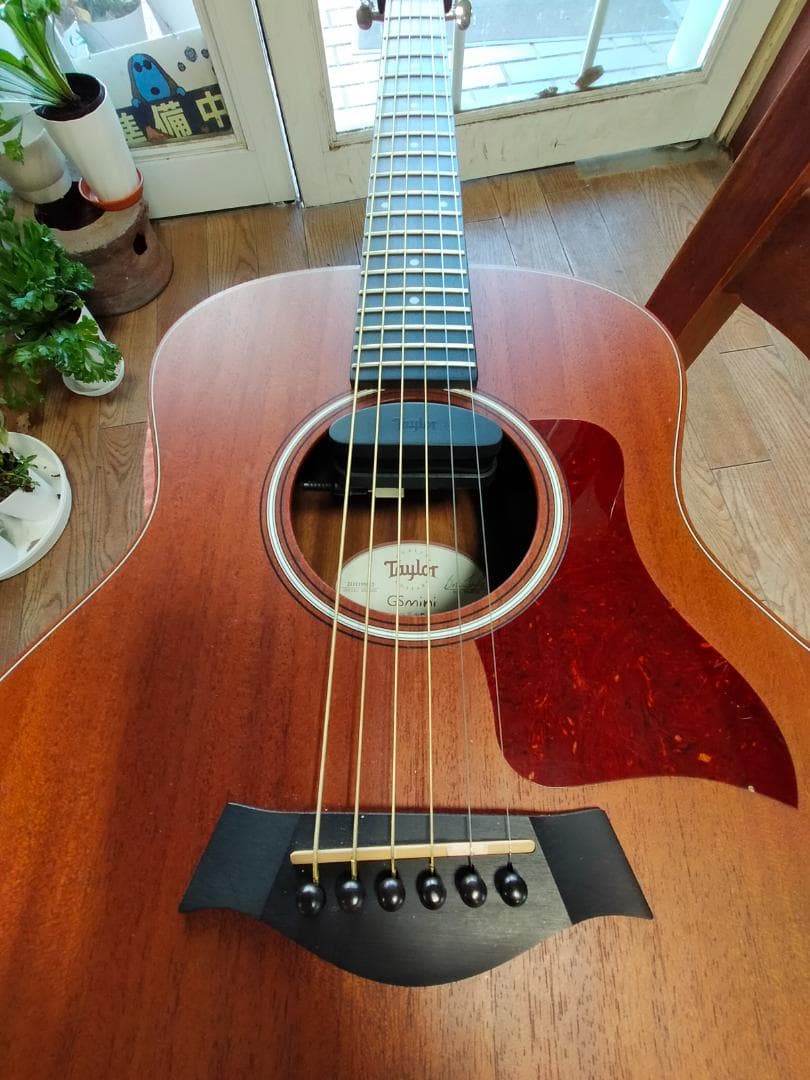 Taylor GS Mini Mahogany　ES-Go pickup付