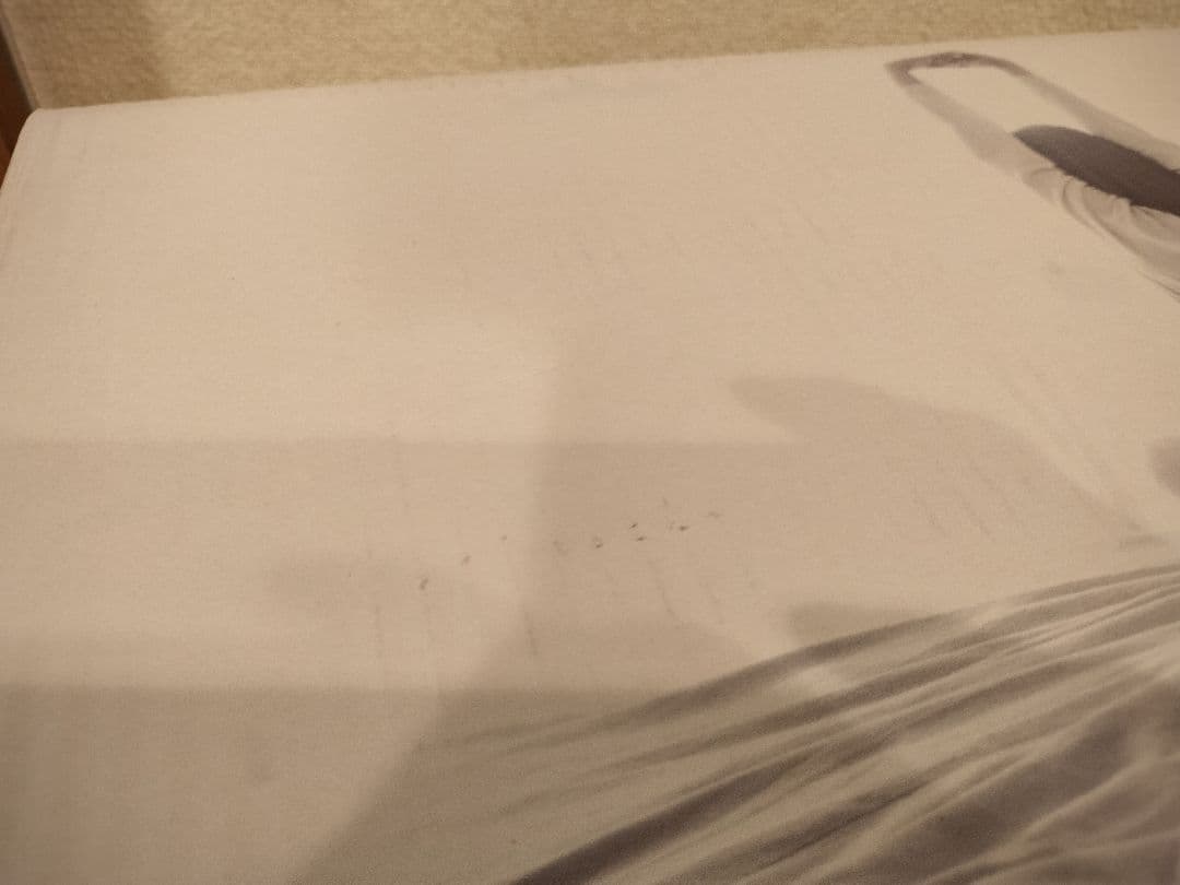 【未使用】Panasonic DB-BM1L-H 電気毛布①