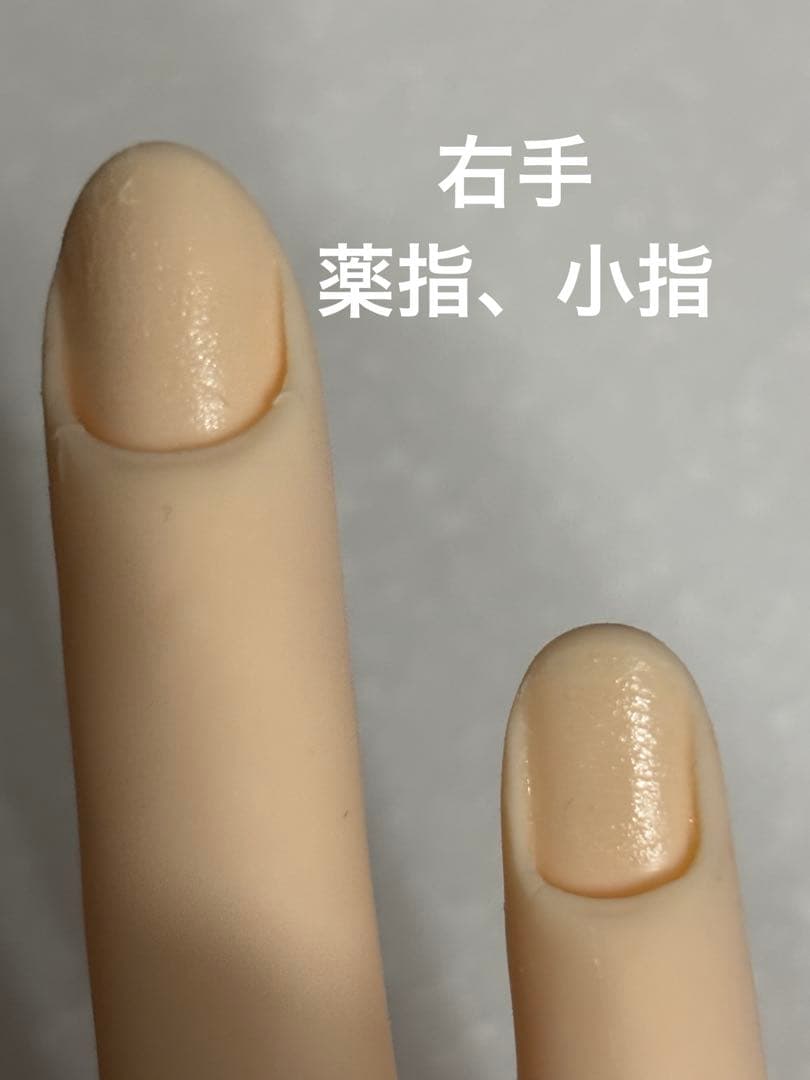 STモデルハンド右手&左手 ネイリスト技能検定試験用 JNEC認定モデルハンド