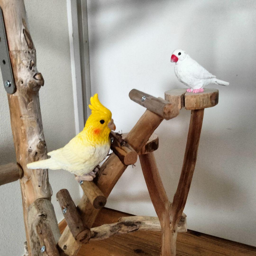 ET バードアスレチックジム 天然木 自然木 流木 止まり木 インコ