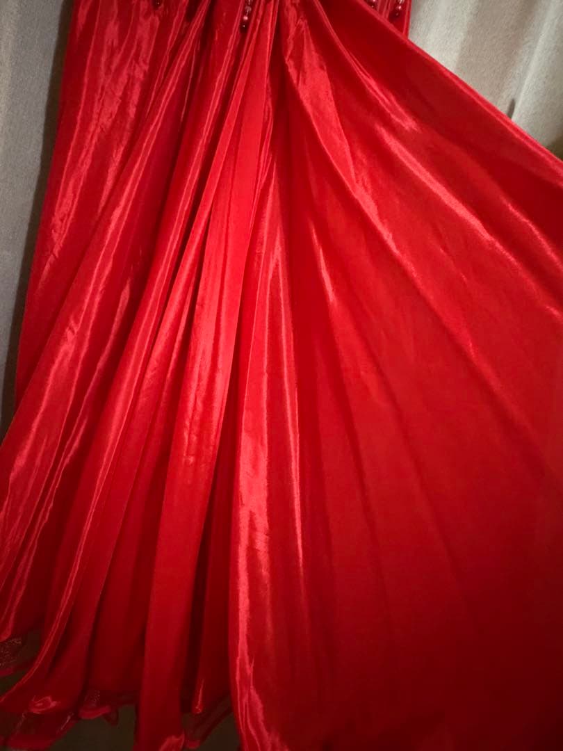 Svetlaya bellydanceベリーダンス衣装