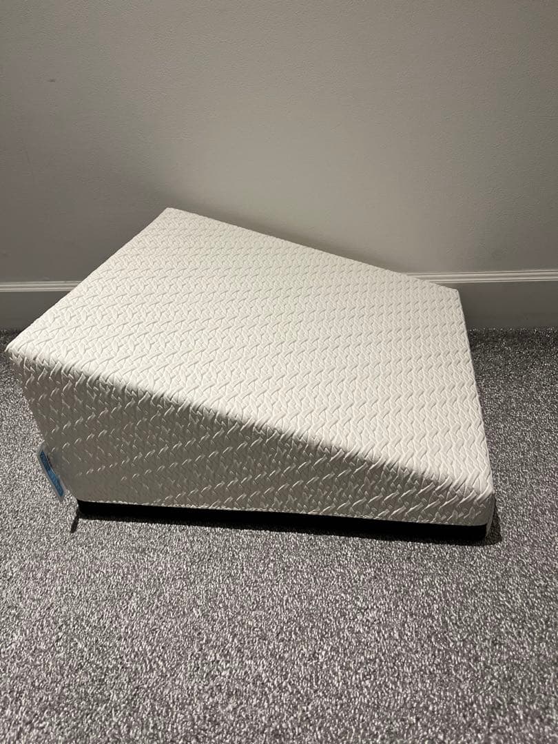 美品　サンテプラス　フレックスクッション GOLD'S GYM