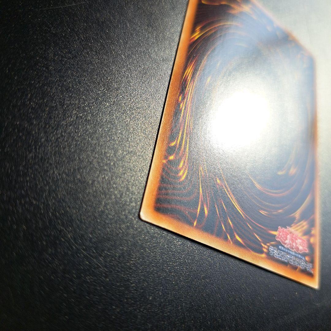 5 遊戯王 ブラック・ローズ・ドラゴン ホログラフィックレア