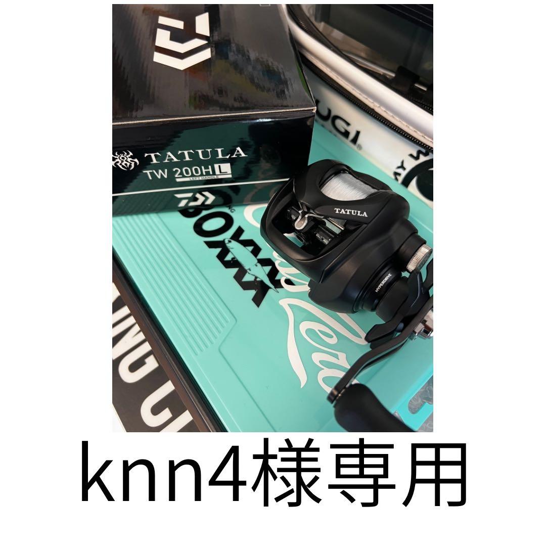 【knn4】DAIWA 25TATULA TW 200HL ベイトリール