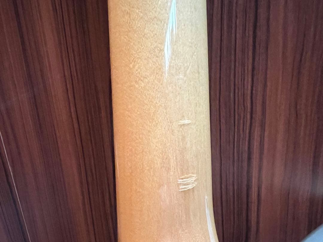 TOKAI Talbo 東海楽器タルボ アルミギター glay hisashi