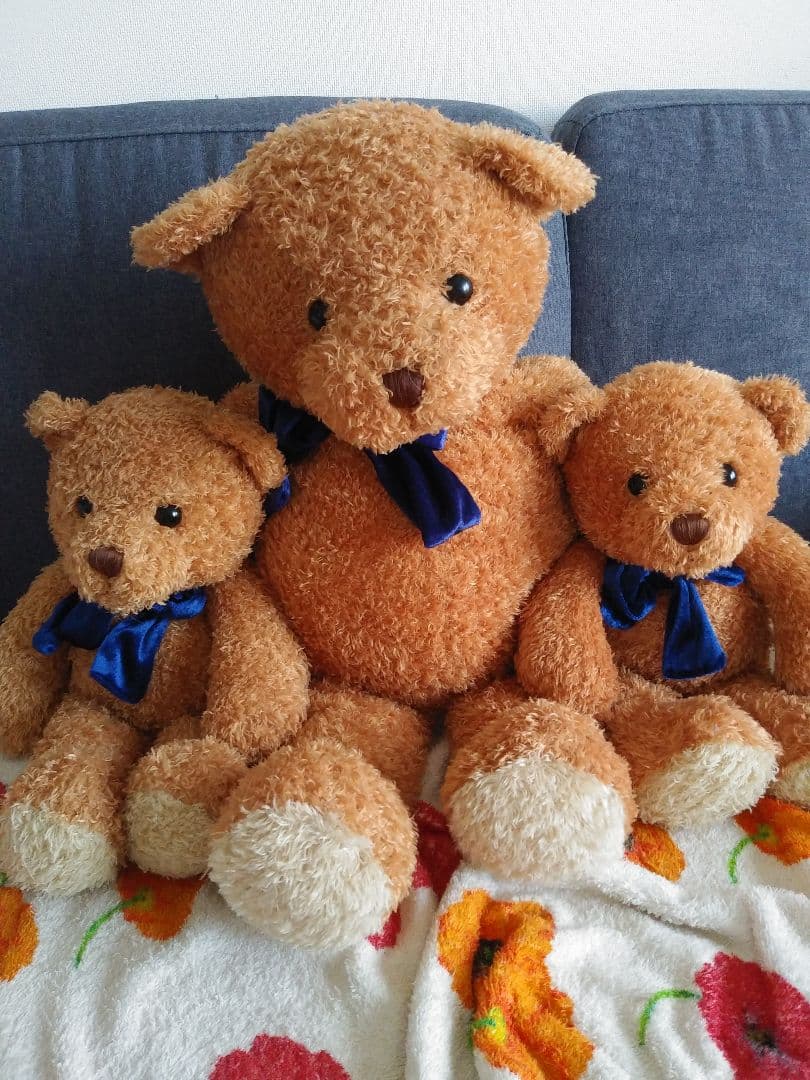 テディベア セット