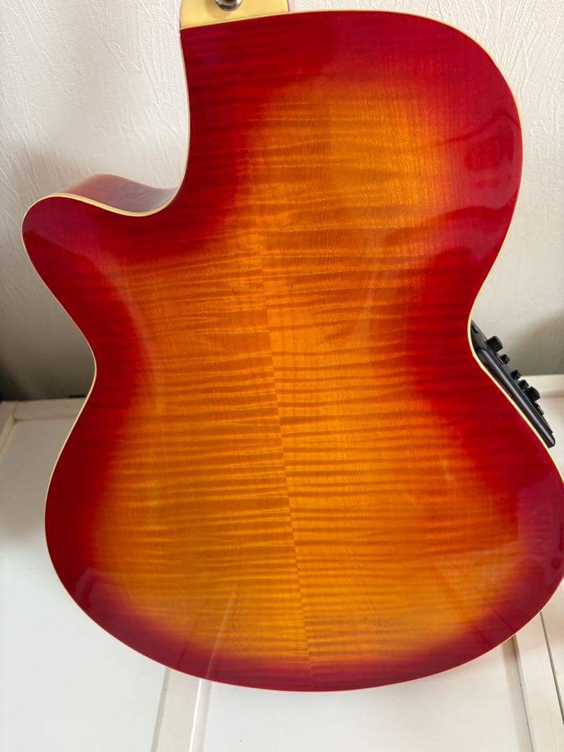 Cooler by Takamine アコースティックギター　TCP-480