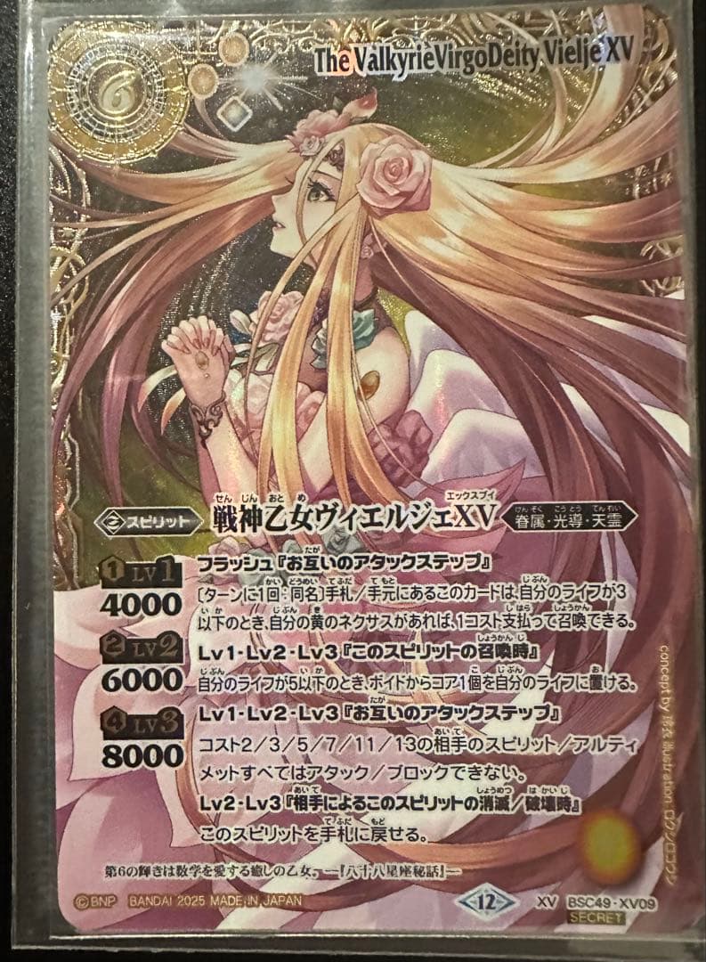 戦神乙女ヴィエルジェXV