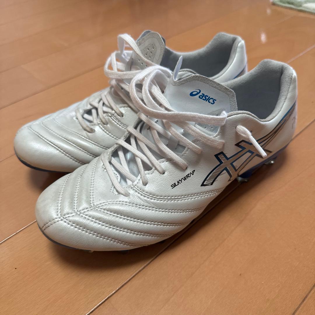 DSライト X-FLY PRO3 25cm