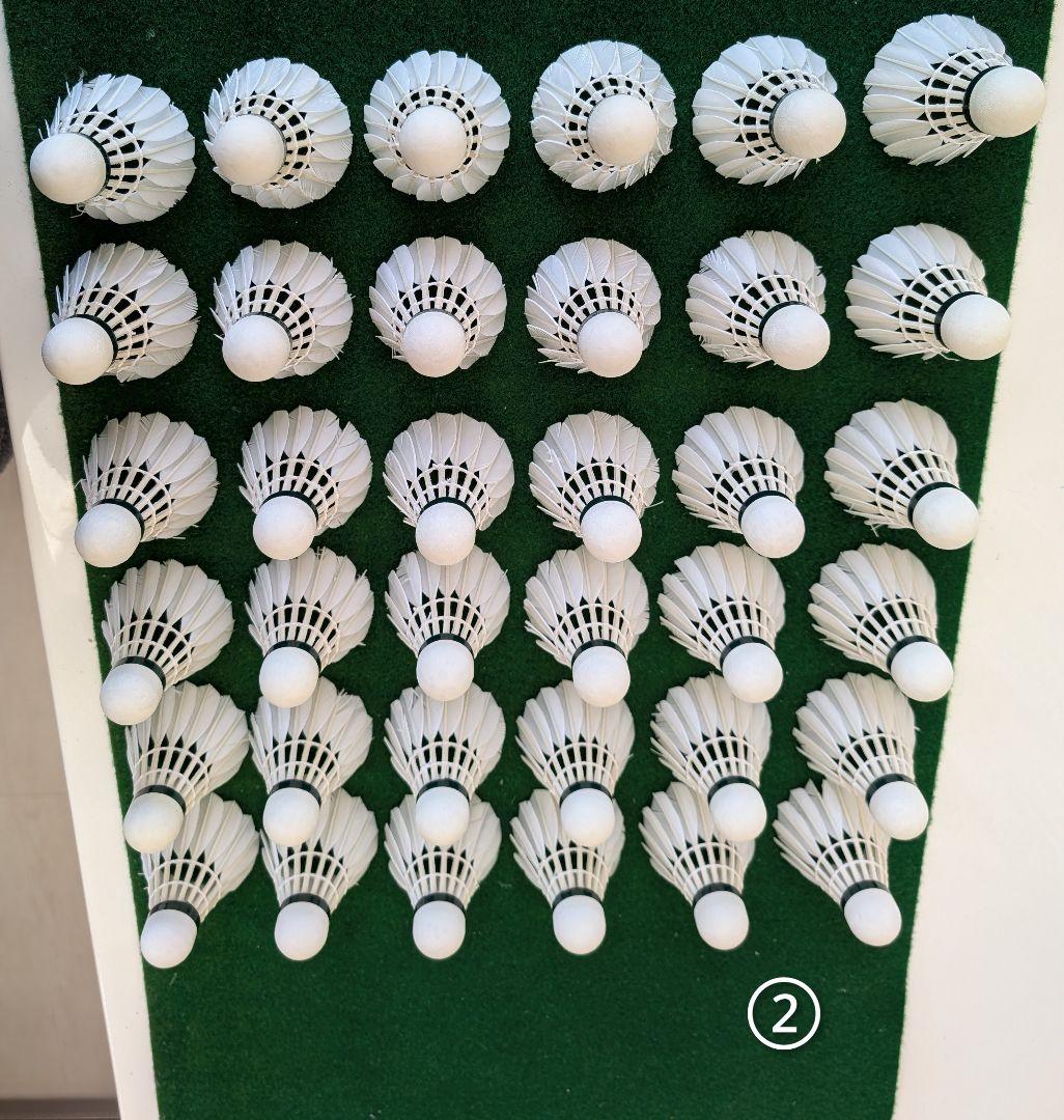 NEW OFFICIAL F4 10ダース