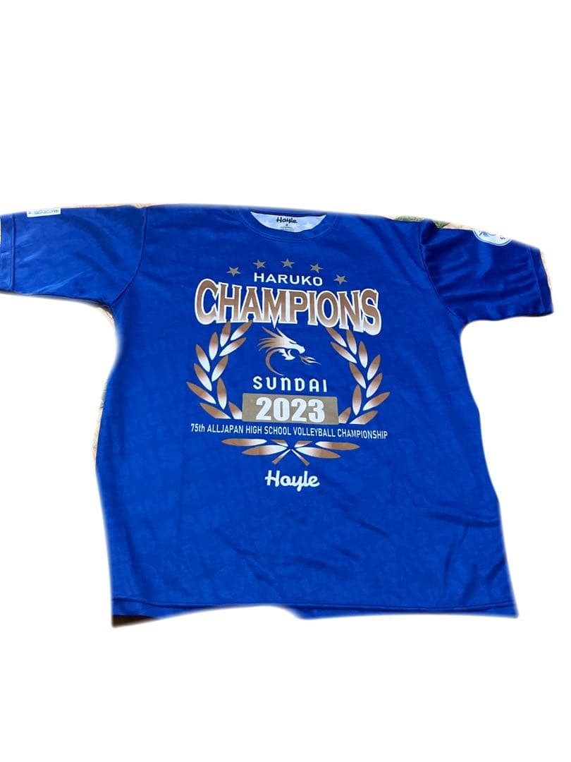 駿台学園　　限定　バレー　tシャツ