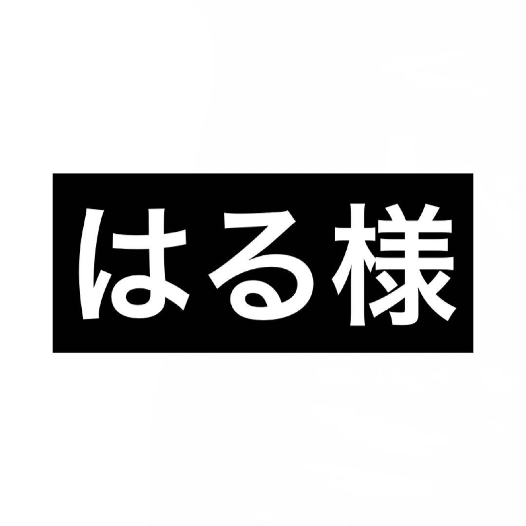 はるページ オーダーウィッグ ドロシー