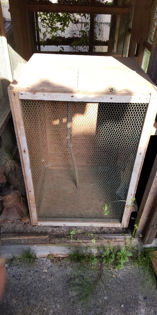 鳥かご ペット 飼育