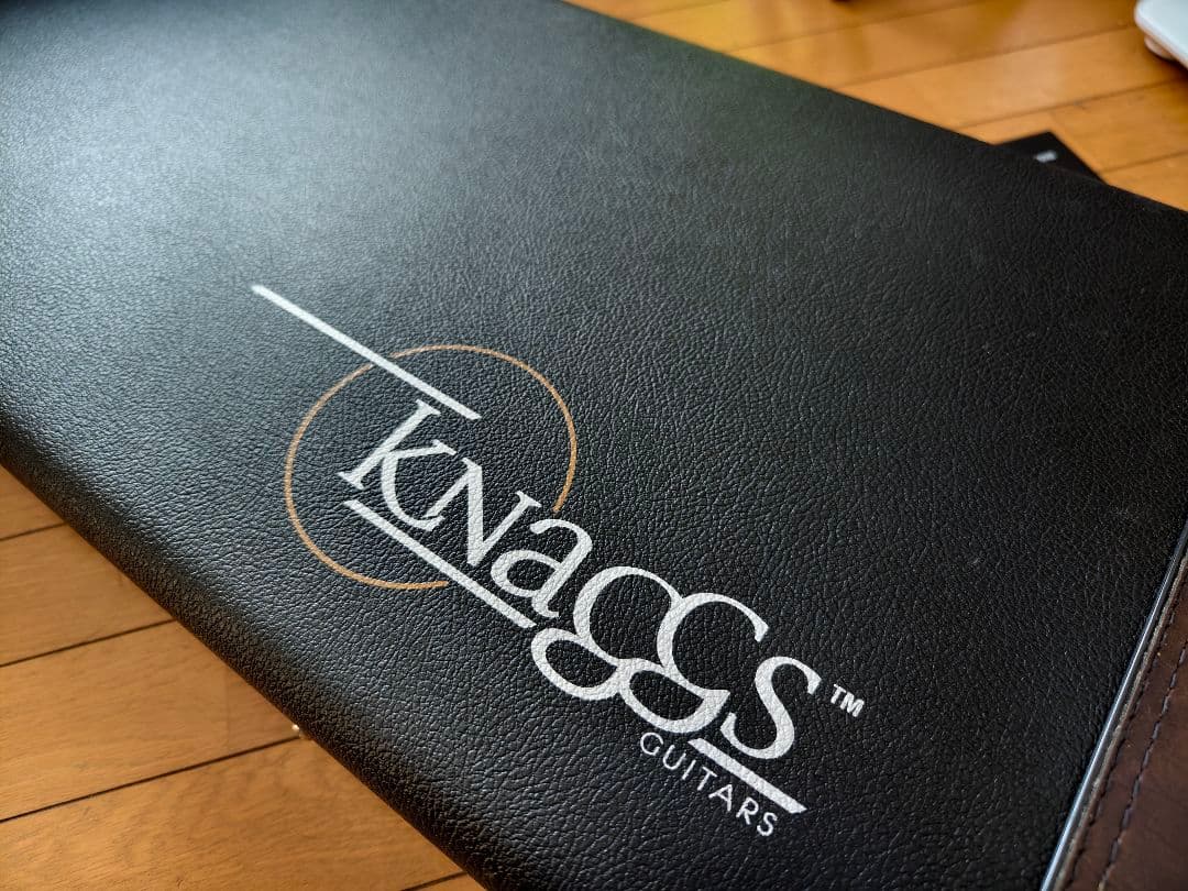 【最終値下げ】Knaggs Guitars Severn HSS