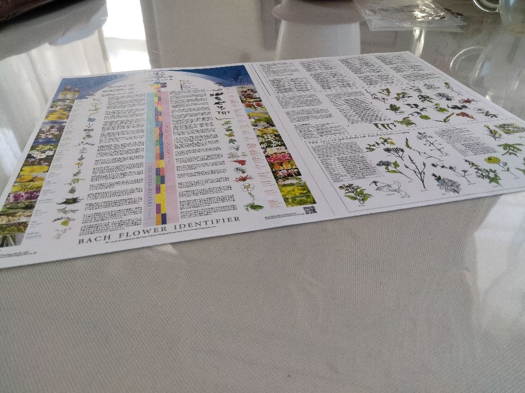 オマケ付き12/2034ヒーリングハーブス社フルセット■バッチフラワーレメディー