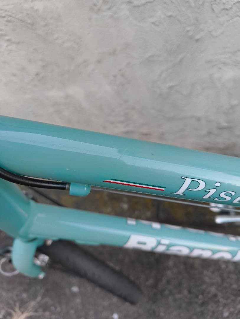 Bianchi Pisa ミニベロ