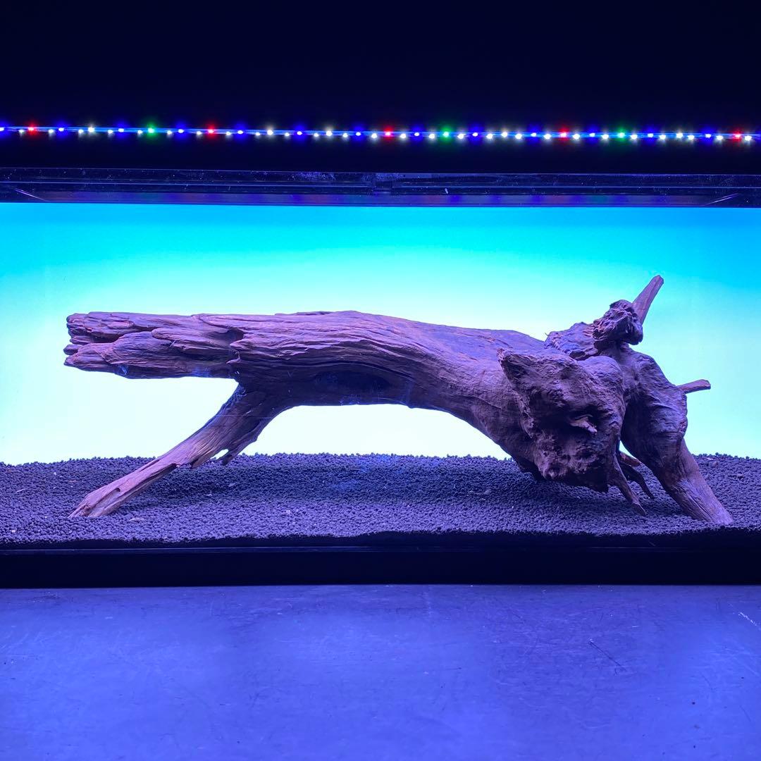 MRW-6567 特大自立赤系流木　1点物　自立流木　一点物90cm水槽用