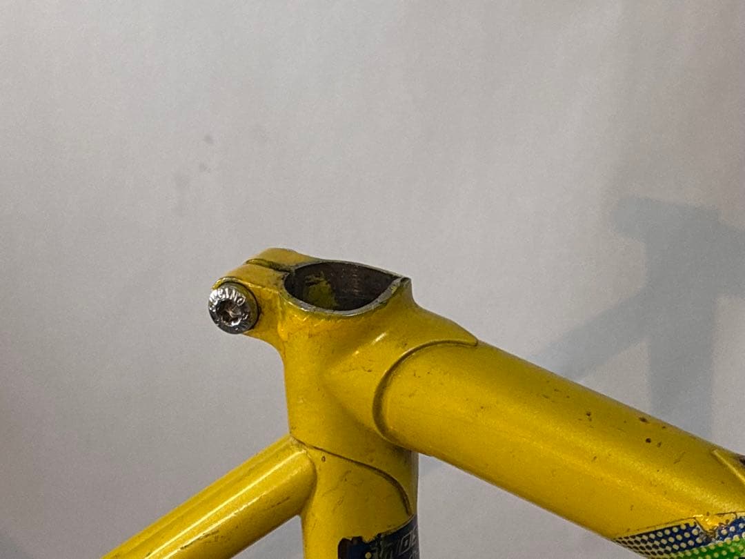 F.Moser Forma 96 オリンピック　クロモリロードバイクフレーム