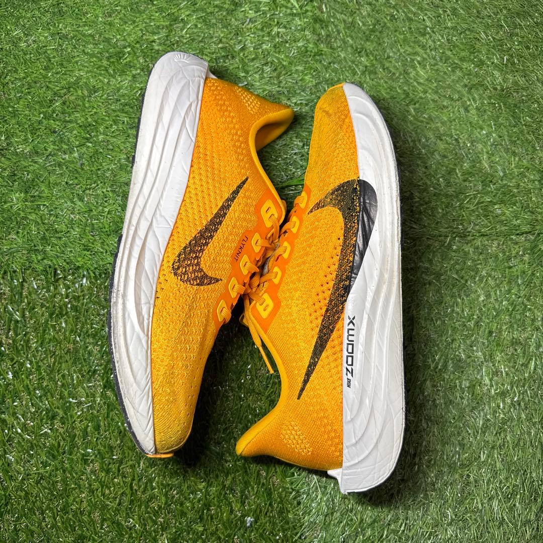 Nike ペガサスプラス メンズ ランニングシューズ 26.5cm