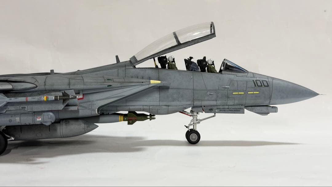 タミヤ 1/48 ジョリーロジャース仕様F-14D トムキャット 完成品
