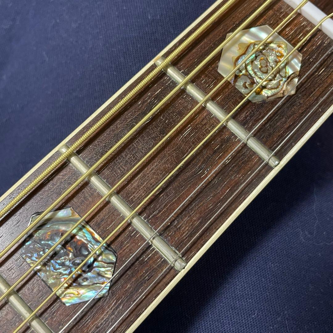 Rider R-500D Martin D-45風 Headway Momose