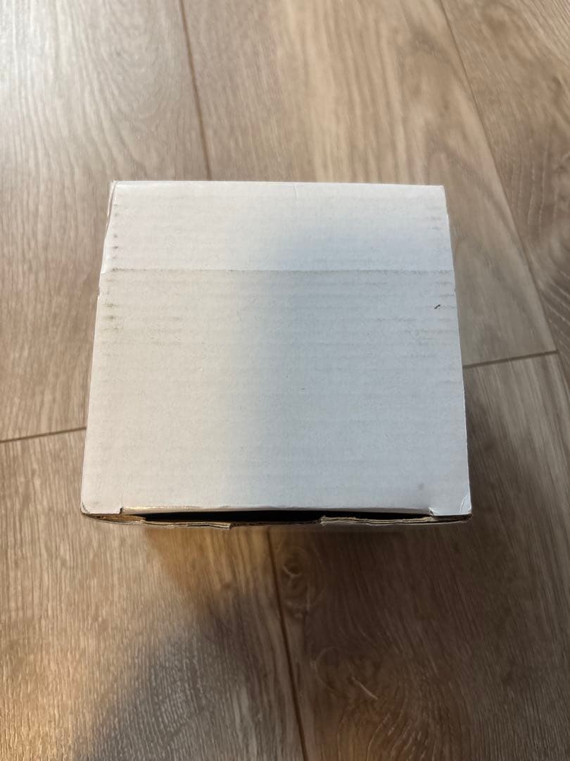 ワンピース 10周年 公式ウォッチ 黄金の指針 ゴールデンポース