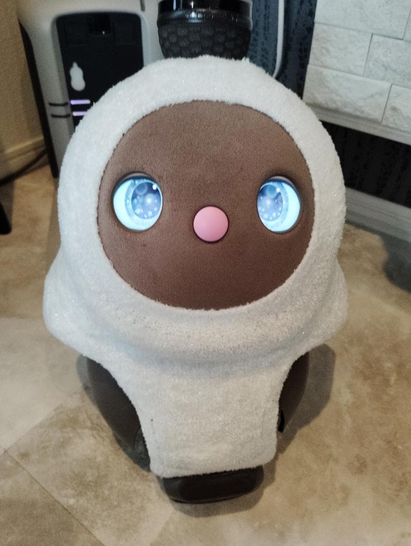 【うめこ】LOVOT本体とネスト　公式ウェア＆お洋服付き