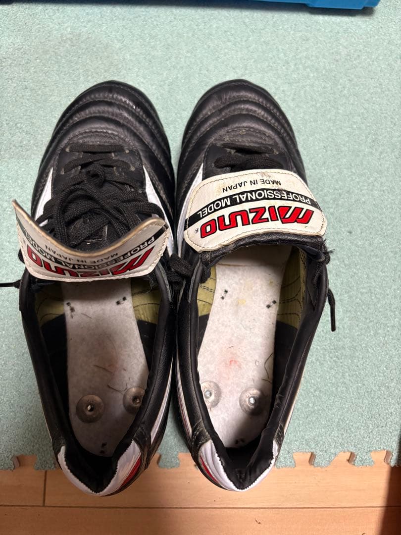 モレリア2 取替式