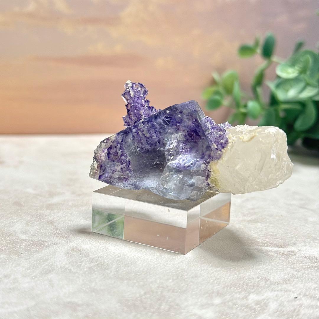 ◆【D018】針状鉱物入りフローライト ヤオガンシャン Aタイプ 原石 鉱物標本