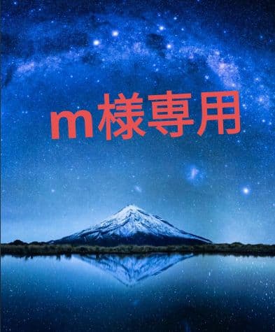 m T10焼刃花梨木連体居合武士刀