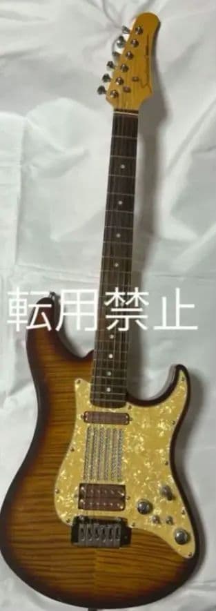 【珍品・激レア】Santanu Pro 光るギター