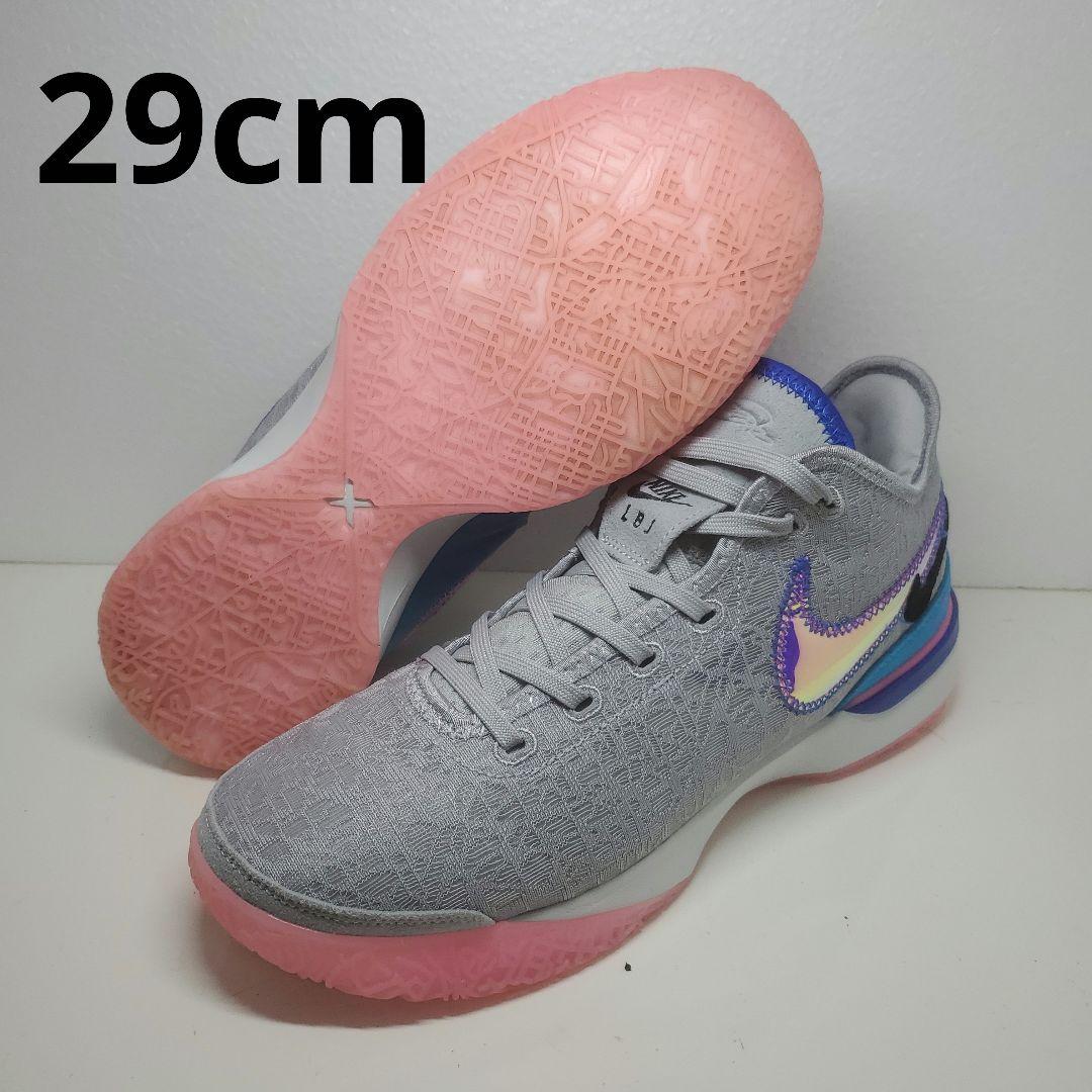 シューズ(男性用) NIKE ZOOM LEBRON NXXT GEN EP 29cm