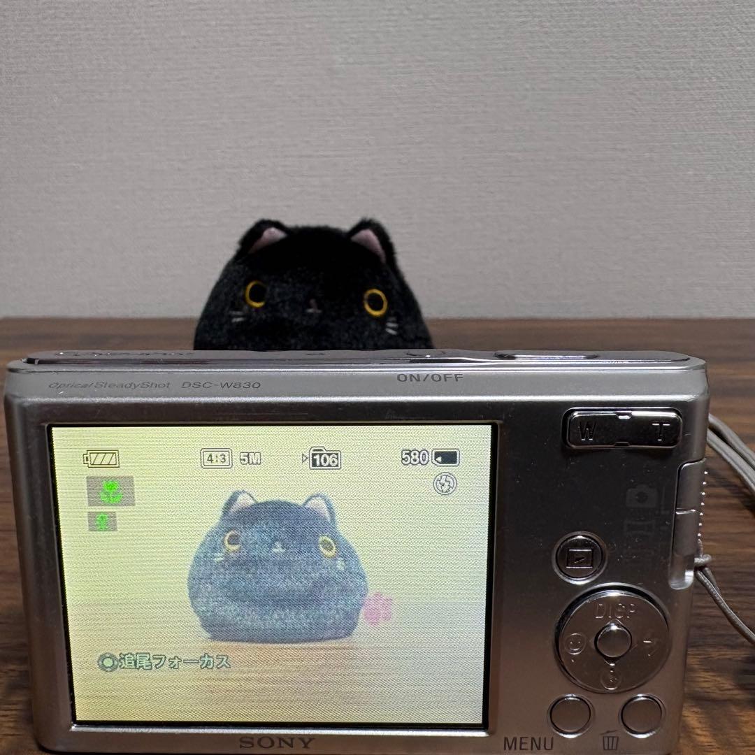【作例有】SONY Cyber-shot DSC-W830 コンデジ 動作品