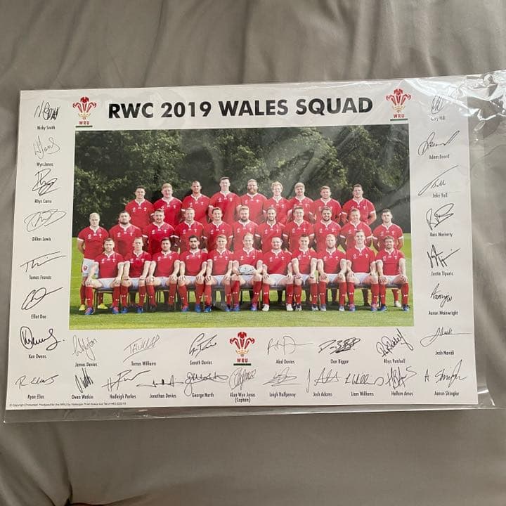 【非売品】ラグビーワールドカップ　ウェールズ　サイン