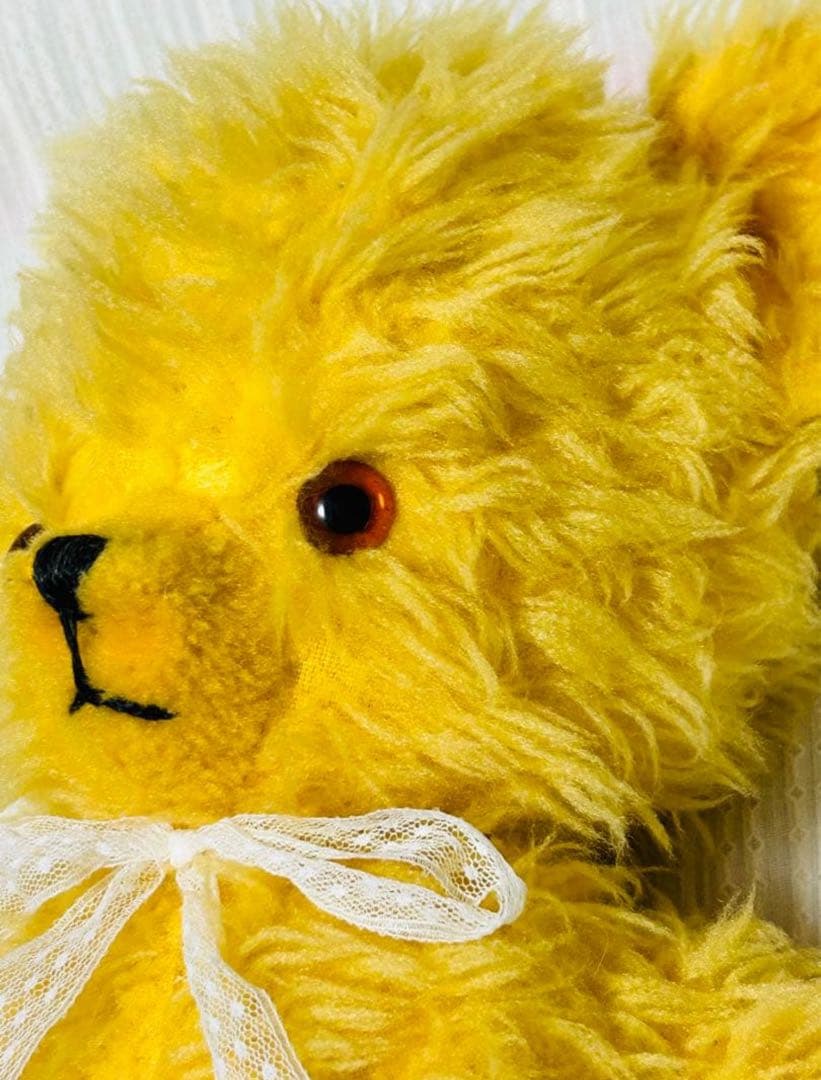 レア　ペディグリー ベア　pedigree 1960年代　タグ付き　ヴンテージ