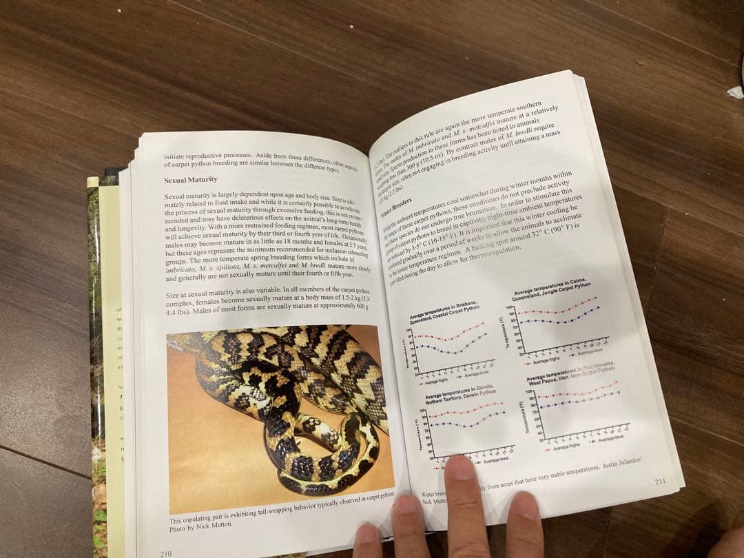 洋書 Complete Carpet Python 以下検索 蛇 パイソン ボア