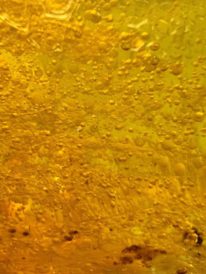 ビックサイズ　虫入り琥珀　大量な気泡を内包　バルティックアンバー　バルト海沿岸