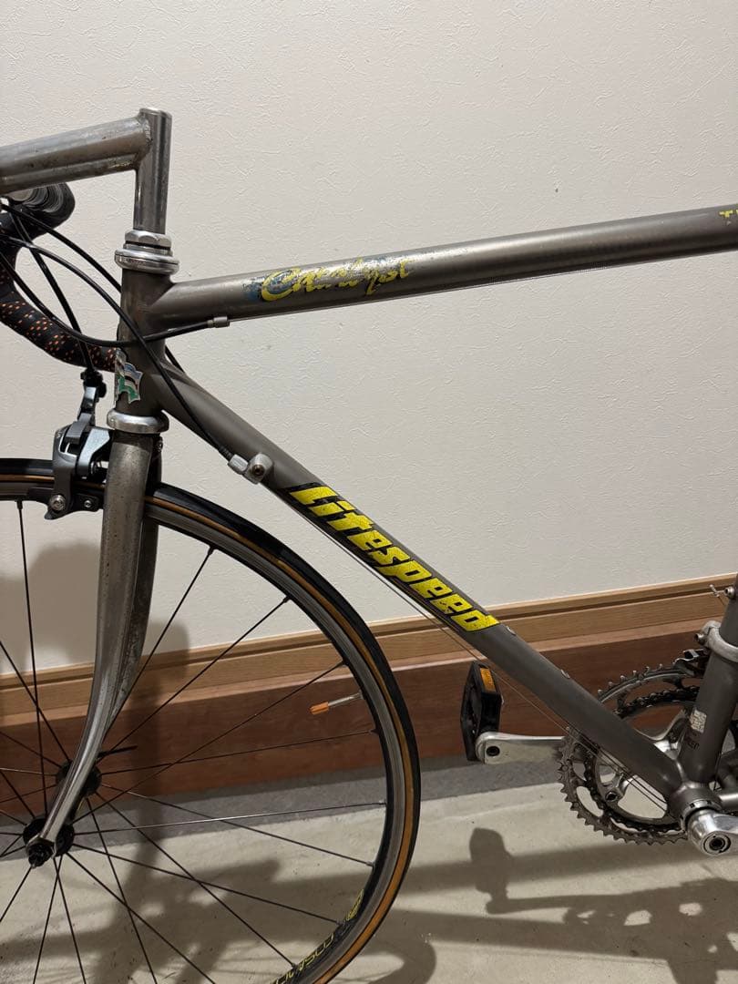 Litespeed catalyst チタニウム　ロードバイク