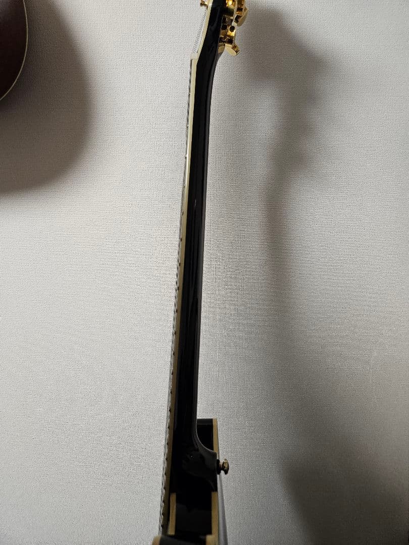 Sire 335 Larry Carltonブラック