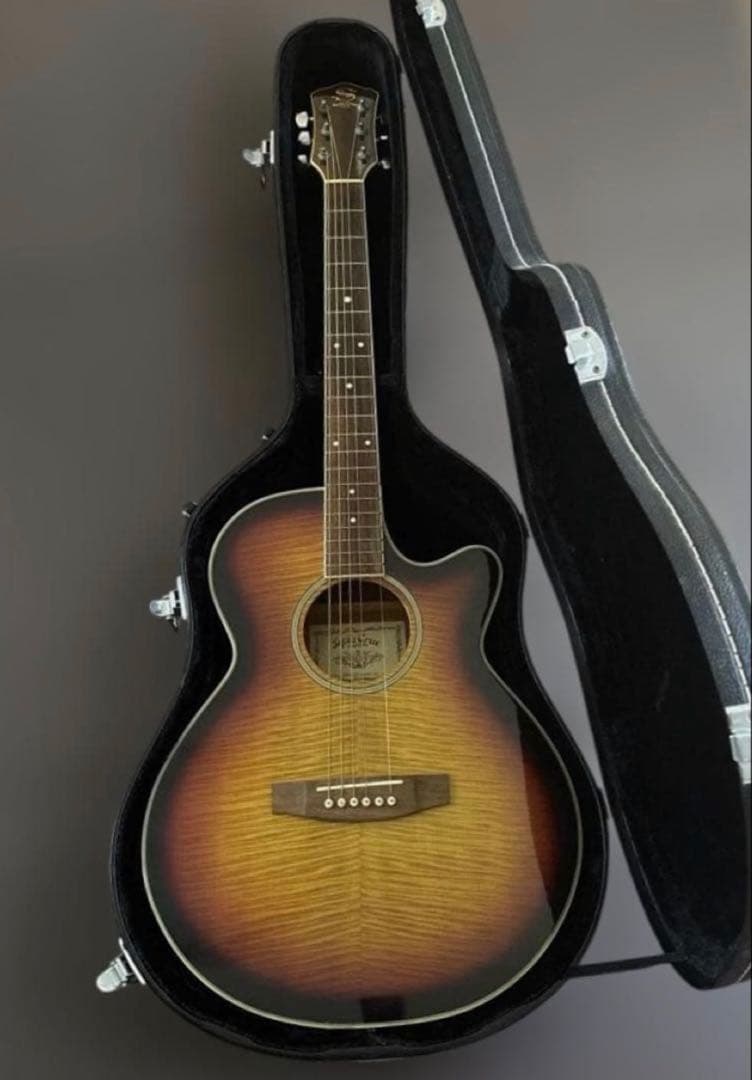 エレアコ　アコースティックギター　ハードケース付き