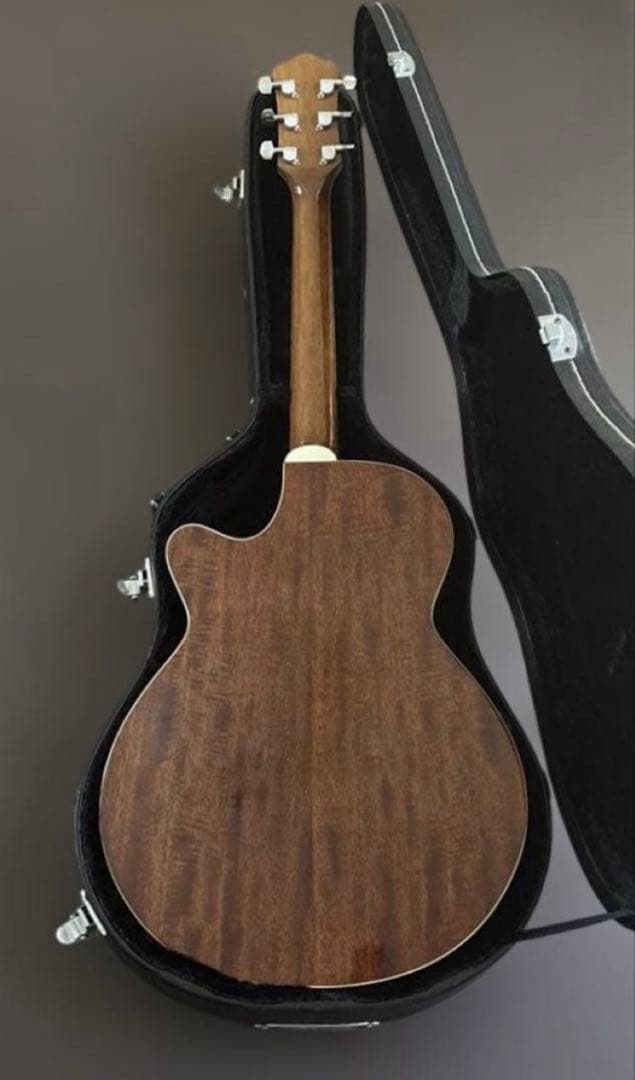 エレアコ　アコースティックギター　ハードケース付き