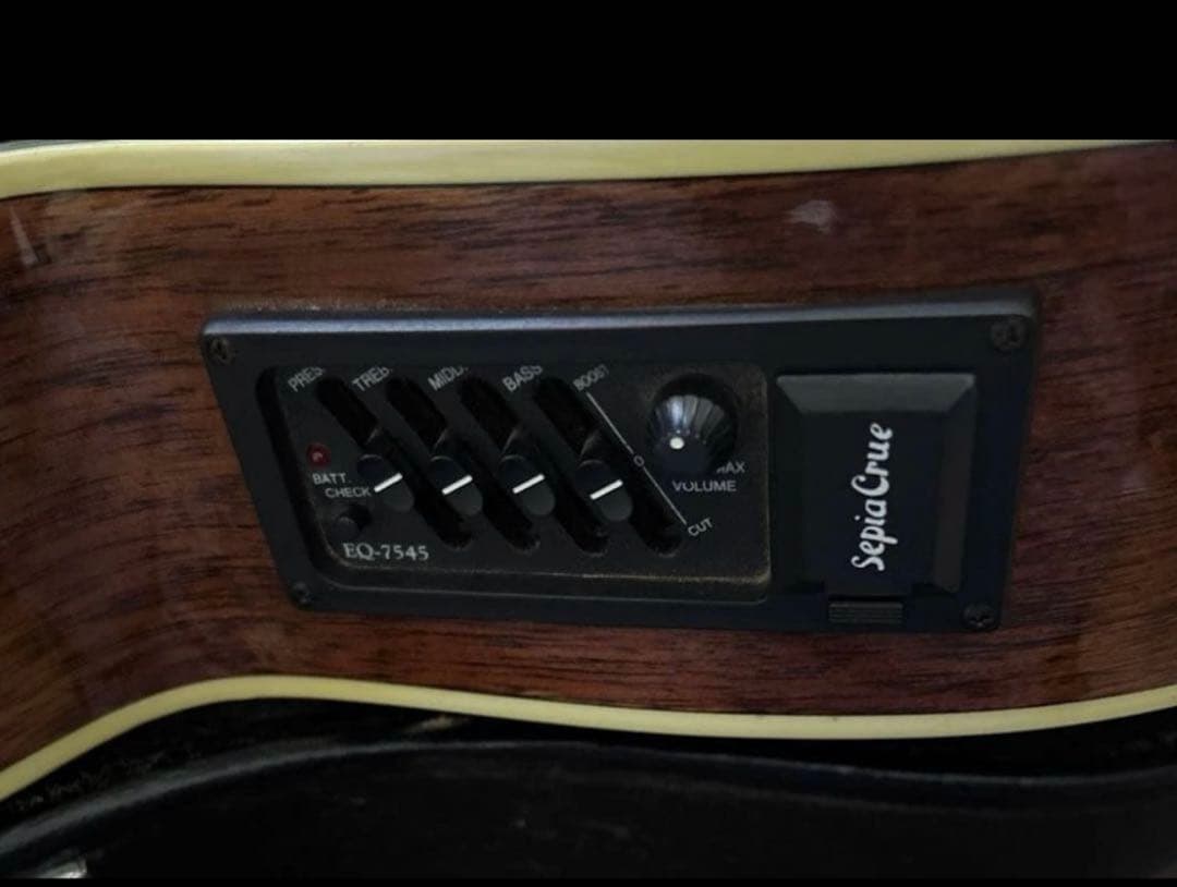 エレアコ　アコースティックギター　ハードケース付き