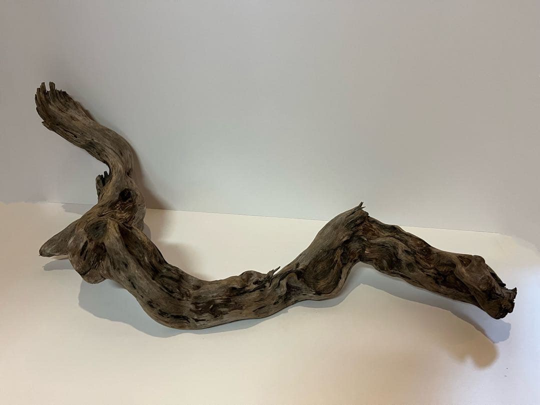 大型　流木【2129】