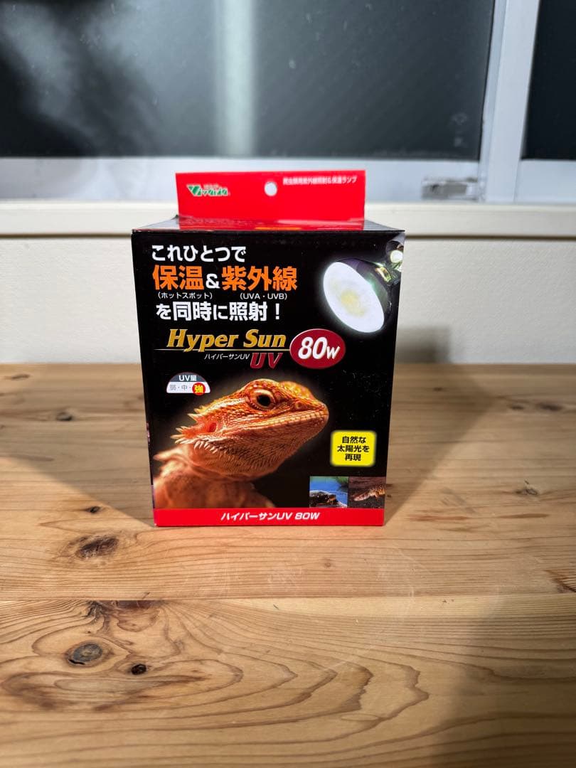 爬虫類　飼育セット　フトアゴ　リクガメ