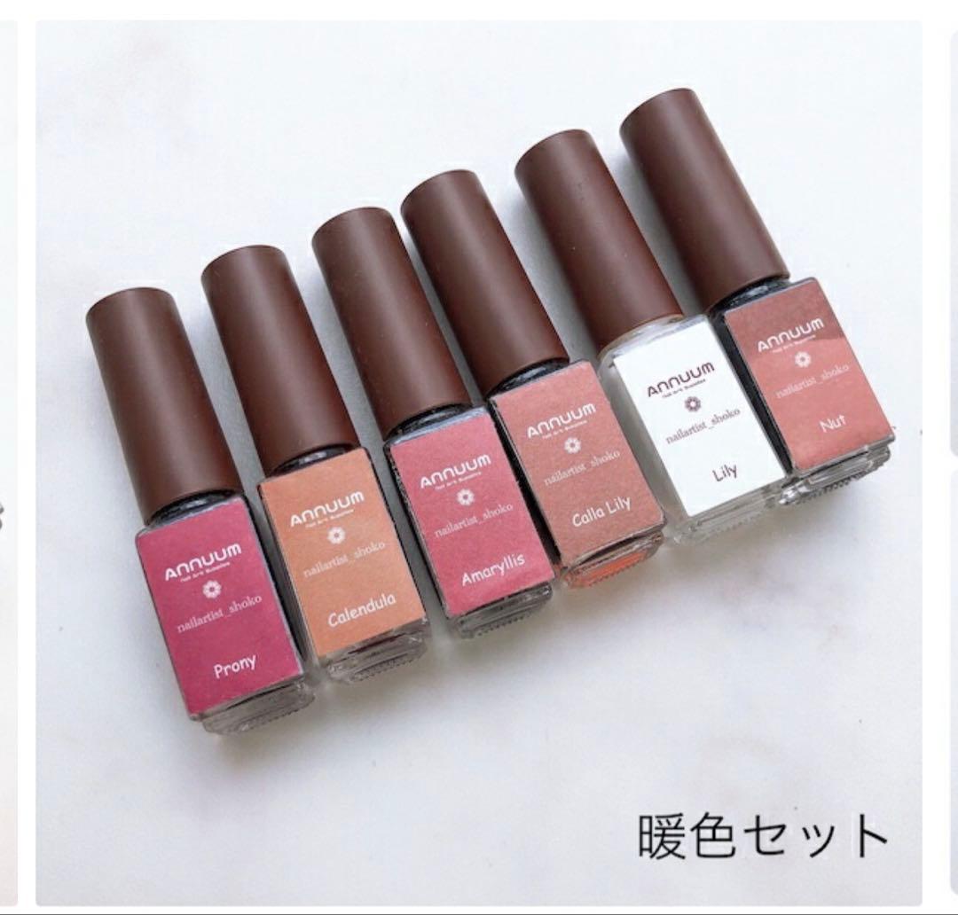 ANNUUM インクセット24色セットネイルアートニュアンスメタリックホワイト
