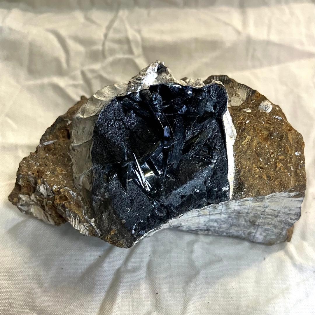 希少 ヴィヴィアナイト シェルフォッシル 藍鉄鉱 貝化石 原石 標本 118g