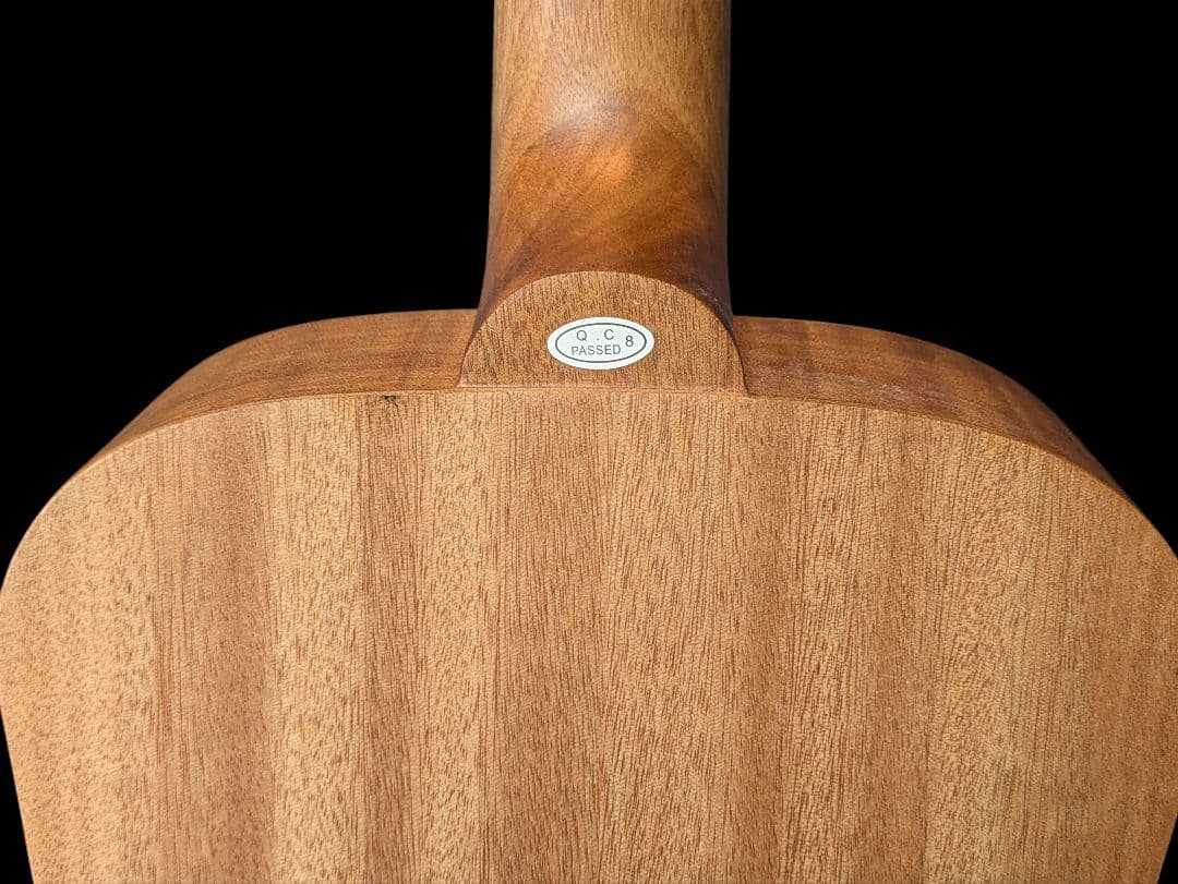 s.yairi YM-02/vs　ヤイリ　アコースティックギター　ソフトケース付