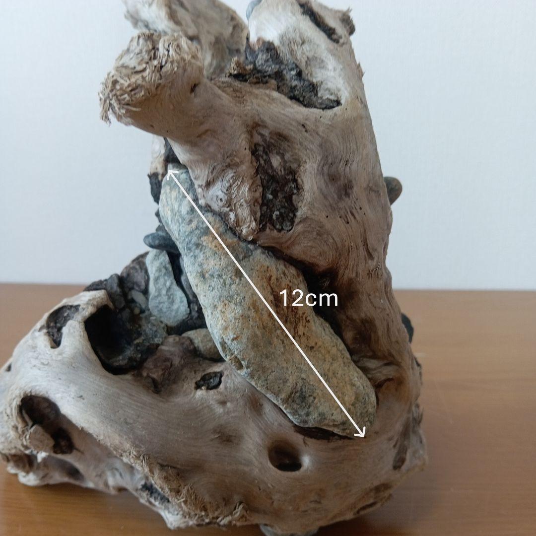 流木　石抱き　NO.95